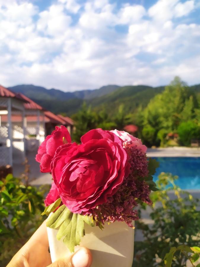 Bliss Hotel Gabala Esterno foto
